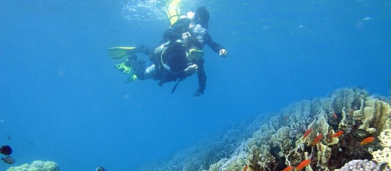 plongee-dans-la-baie-halong
