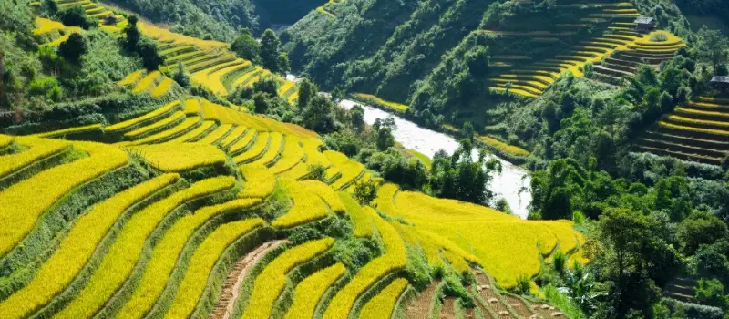 Explorer les rizières de Sapa à cheval ou en randonnée privée