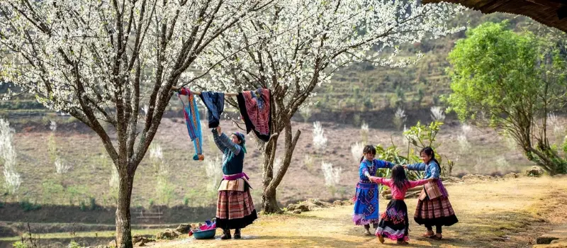 Voyage au Vietnam tout compris en 10 jours