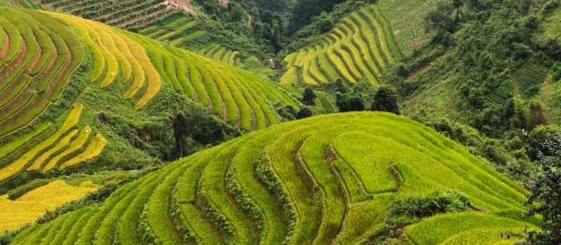 Voyage de luxe au Nord du Vietnam