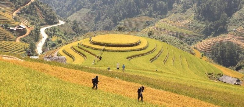 Admiration de la beauté des rizières en terrasse à Mu Cang Chai