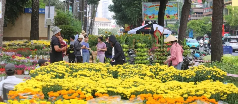 Ambiance florale villes vietnamiennes après le Têt Ambiance florale villes vietnamiennes après le Têt