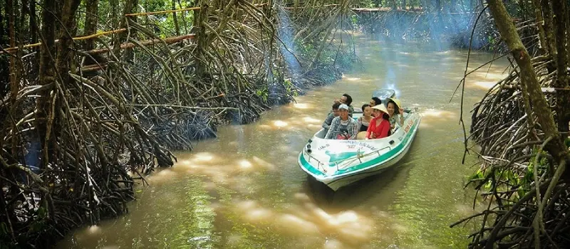Aventure douce dans les for&ecirc;ts de mangroves du Sud