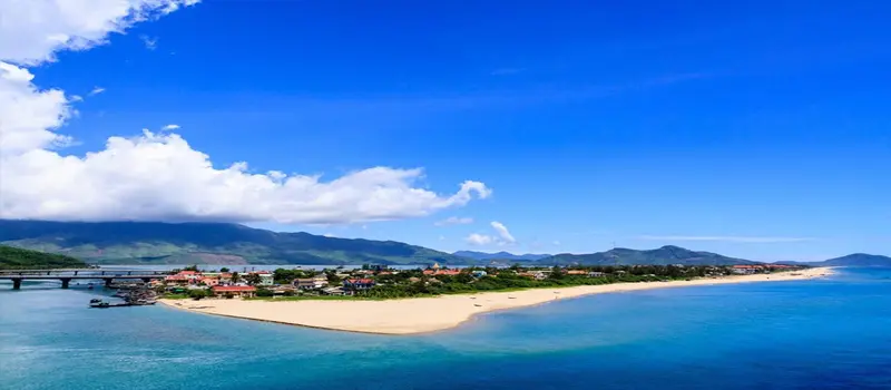canhduong-1 canhduong-1