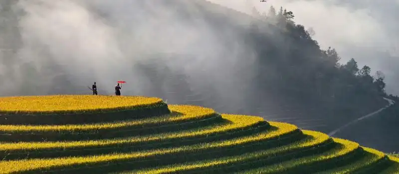 Choisir la bonne saison pour un voyage de luxe au Vietnam Choisir la bonne saison pour un voyage de luxe au Vietnam