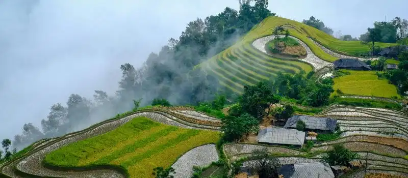 Comment construire un circuit de luxe au Vietnam en 10, 15 ou 21 jours? Comment construire un circuit de luxe au Vietnam en 10, 15 ou 21 jours?