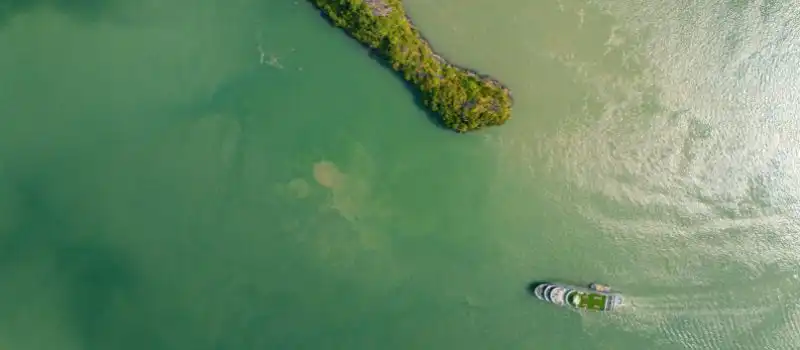 Embarquez pour une évasion inoubliable dans la baie Halong
