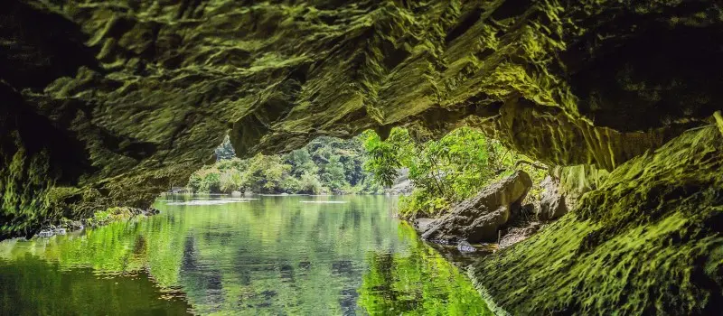 Excursion Ninh Binh Tam Coc: Pagodes, grottes et rizières inoubliables Excursion Ninh Binh Tam Coc: Pagodes, grottes et rizières inoubliables