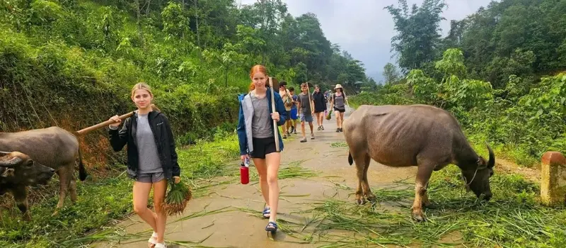 Exp&eacute;riences plus exclusives et authentiques lors du s&eacute;jour au Vietnam