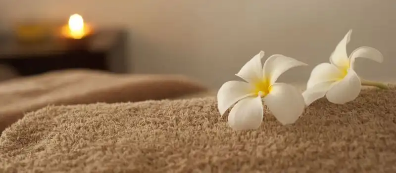 Journée de détente dans un spa vietnamien traditionnel Journée de détente dans un spa vietnamien traditionnel