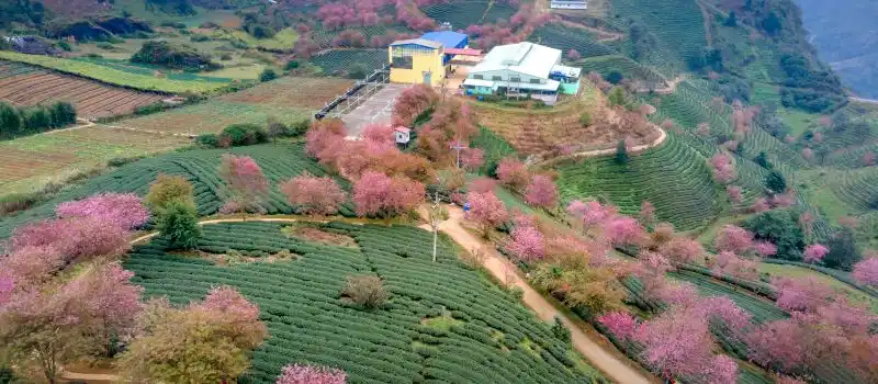 La meilleure période pour visiter le Vietnam La meilleure période pour visiter le Vietnam