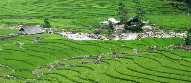 La tapisserie de grandeur naturelle et de richesse culturelle de Sapa La tapisserie de grandeur naturelle et de richesse culturelle de Sapa