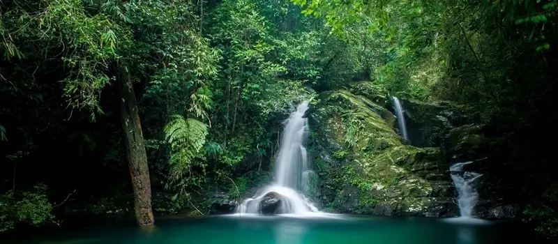 le-parc-national-de-bach-ma-la-nature-sauvage-et-les-randonnées-à-hue2