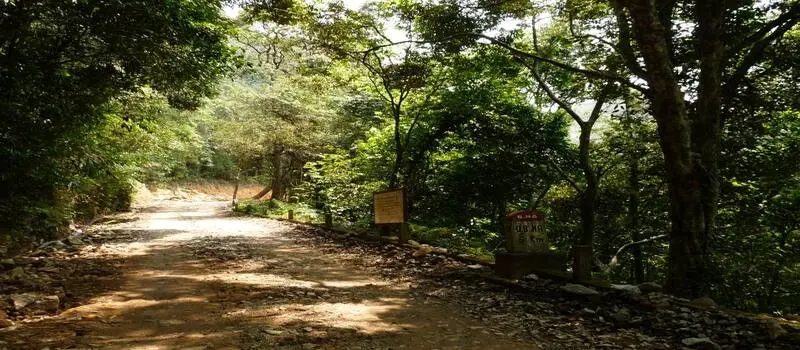 le-parc-national-de-bach-ma-la-nature-sauvage-et-les-randonnées-à-hue4-1