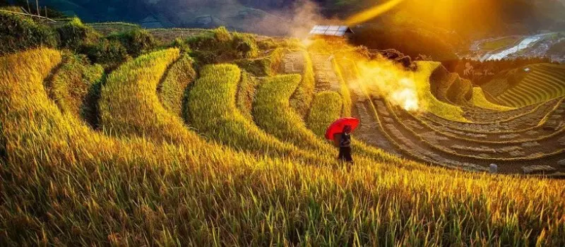 Le Vietnam en octobre est-il pluvieux? Voyage de luxe entre nature et élégance Le Vietnam en octobre est-il pluvieux? Voyage de luxe entre nature et élégance
