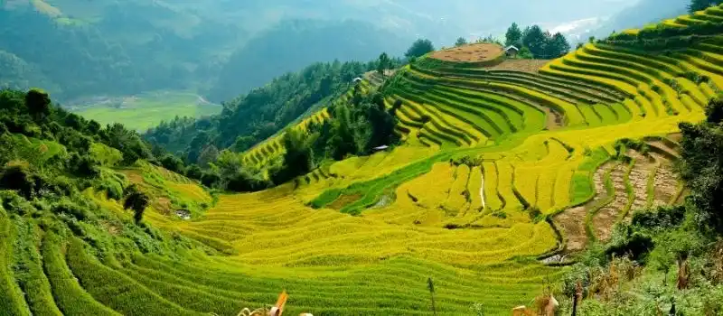 Meilleures périodes pour un séjour luxe au Vietnam Meilleures périodes pour un séjour luxe au Vietnam