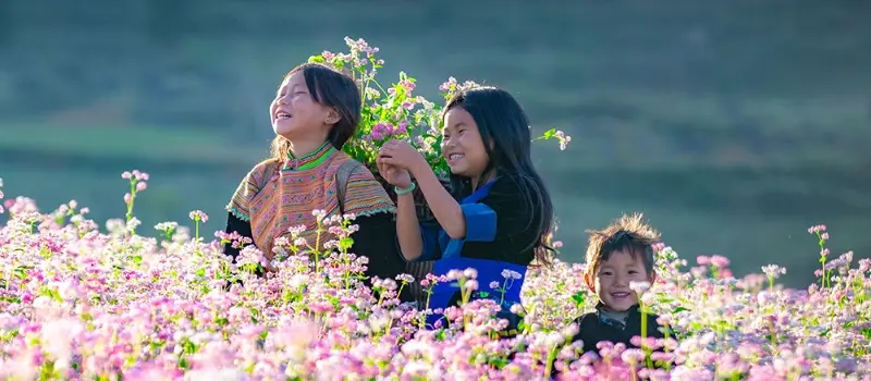 Pourquoi choisir Ha Giang pour votre voyage au Vietnam en novembre Pourquoi choisir Ha Giang pour votre voyage au Vietnam en novembre