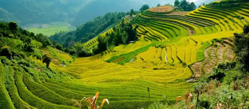 Pourquoi choisir le Vietnam pour un voyage de luxe sur mesure en 2026? Pourquoi choisir le Vietnam pour un voyage de luxe sur mesure en 2026?