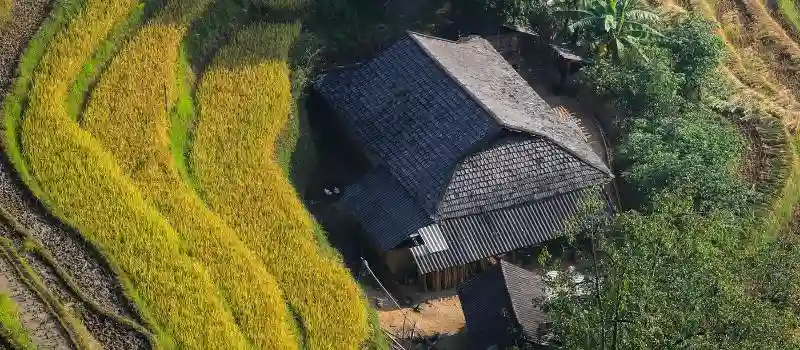 Pourquoi le Vietnam attire-t-il les touristes francophones en 2026? Pourquoi le Vietnam attire-t-il les touristes francophones en 2026?