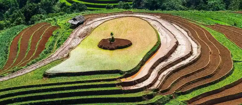 Pourquoi passer par une agence locale pour un voyage vraiment sur mesure Pourquoi passer par une agence locale pour un voyage vraiment sur mesure