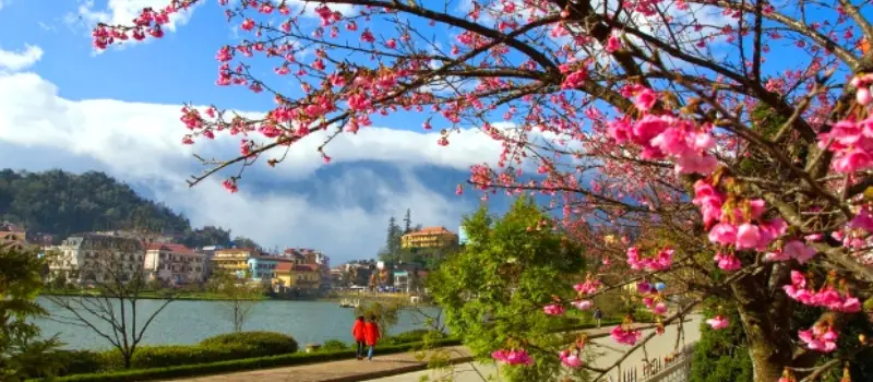 Printemps au Vietnam Printemps au Vietnam