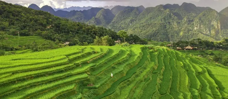 Pu Luong, c’est l’essence même du luxe discret vietnamien Pu Luong, c’est l’essence même du luxe discret vietnamien