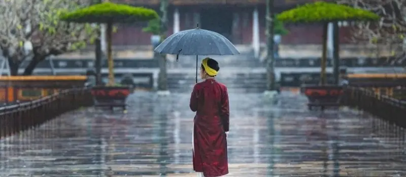 Quand la pluie devient une expérience poétique Quand la pluie devient une expérience poétique