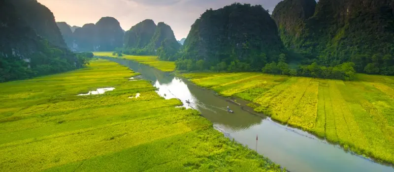 Rizières de Tam Coc Rizières de Tam Coc
