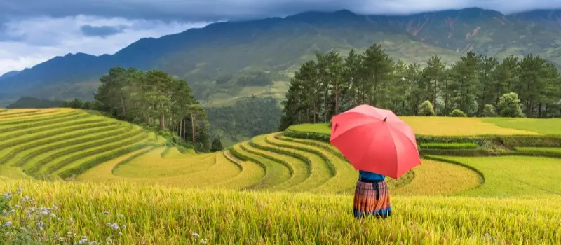 Sapa et les montagnes du Nord - Luxe au cœur de la nature Sapa et les montagnes du Nord - Luxe au cœur de la nature
