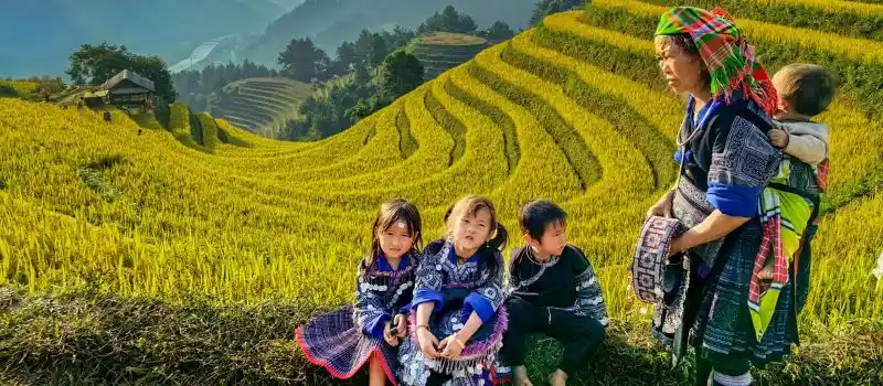 Sapa : Trekking dans les rizières et rencontres avec les ethnies locales Sapa : Trekking dans les rizières et rencontres avec les ethnies locales