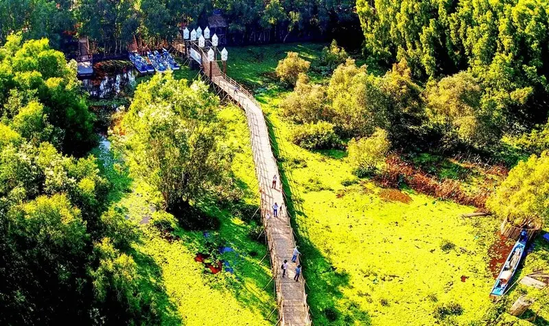 se-perdre-dans-le-charme-verdoyant-de-la-forêt-de-cajeputier-de-tra-su10-1