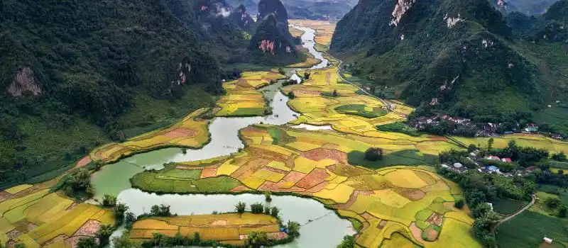 Visite en sampan à travers des champs de rizières à Ninh Binh Visite en sampan à travers des champs de rizières à Ninh Binh