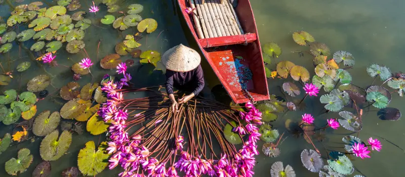 Voyage à Ninh Binh 2026 Voyage à Ninh Binh 2026