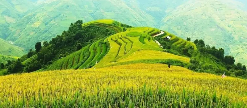 Voyage au Vietnam en été: Luxe et fraîcheur à Sapa et Mai Chau
