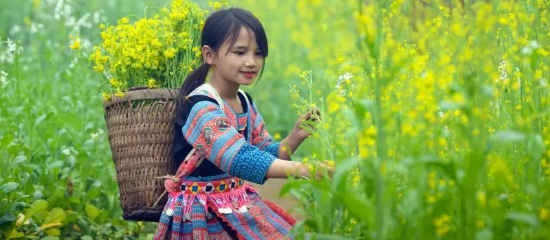 Voyage au Vietnam tout compris: Comment choisir l’offre idéale?