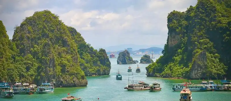 Croisières privées au coucher du soleil au Vietnam: soirées magiques