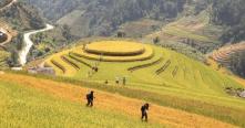 Admiration de la beauté des rizières en terrasse à Mu Cang Chai