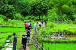 Comment planifier le trekking dans la réserve naturelle Pu Luong